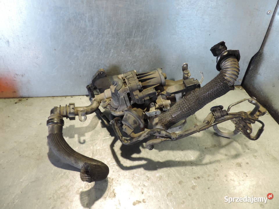 ZAWÓR EGR CHŁODNICZKA SPALIN PEUGEOT 207 14 EHDi Nowy Sącz