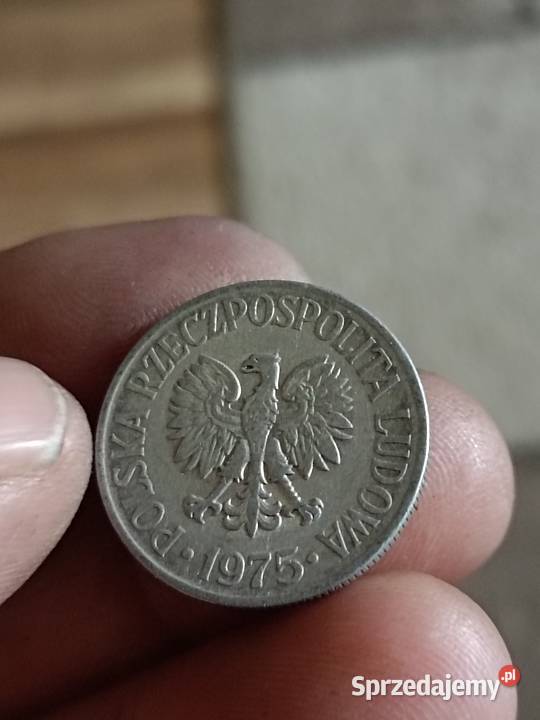 Sprzedam 50 groszy 1975 r bzm lubelskie Chełm