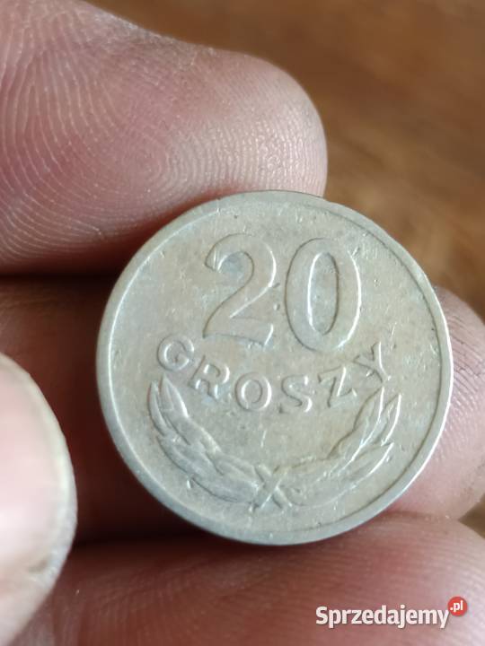 Sprzedam monete 20 groszy 1963 plmk Chełm sprzedam