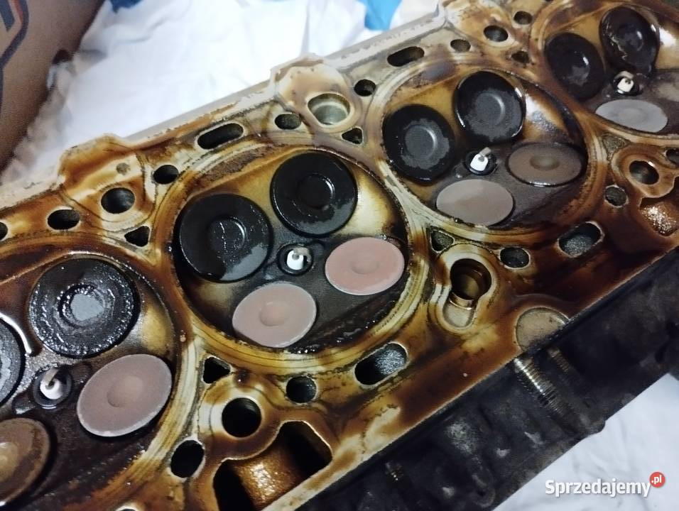 Głowa 55559340 A16XER Chevrolet Opel małopolskie