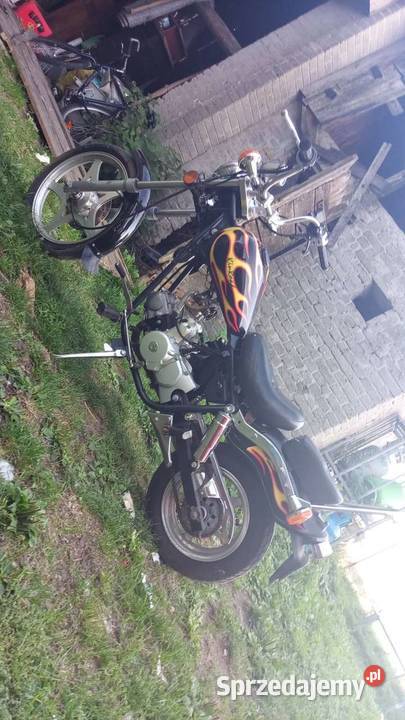 Chopper łoś świętokrzyskie Bogoria