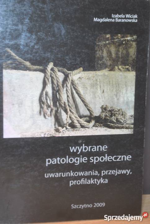 WYBRANE PATOLOGIE SPOŁECZNE Rzeszów
