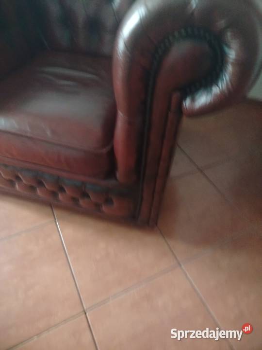 Chesterfield angielski Biała Podlaska
