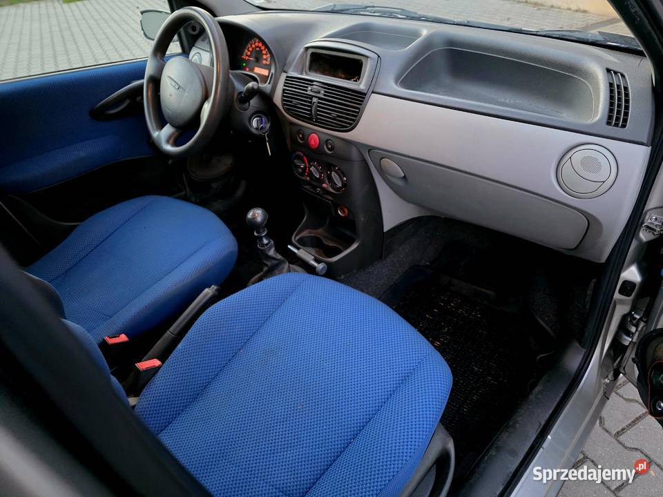 Punto 12 krajowe super zdrowe bez rdzy Niski Siewierz