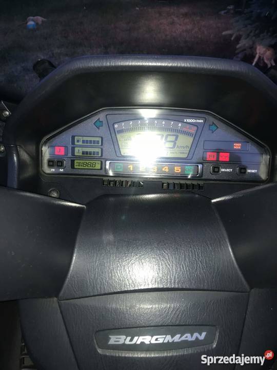 Suzuki Burgman Maxi skuter 650 skuter Starogard Gdański