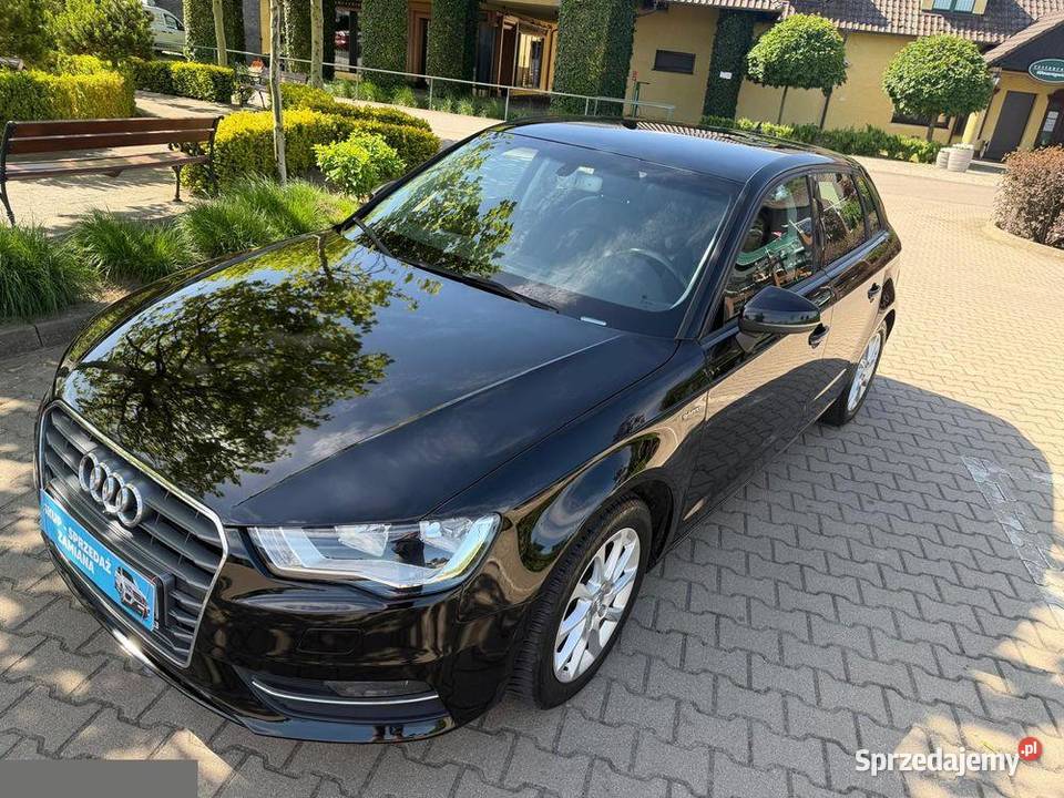 Audi A3 Sportback 14 TFSI gtron 110 2017r A3 Krotoszyn