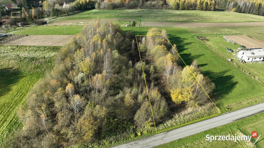 Działka do sprzedania Niewodna 1900m2 28zł/m2