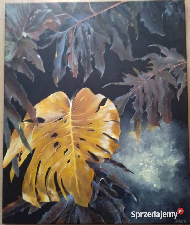 Moje malarstwo Bydgoszcz