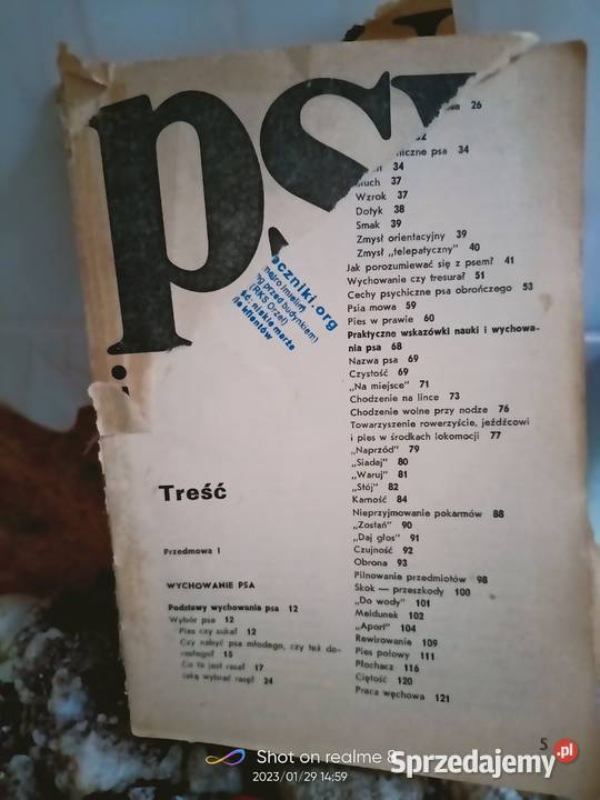 Psy rasy kynologia księgarnia internetowa Rok wydania 1981 Kultura i Rozrywka Warszawa
