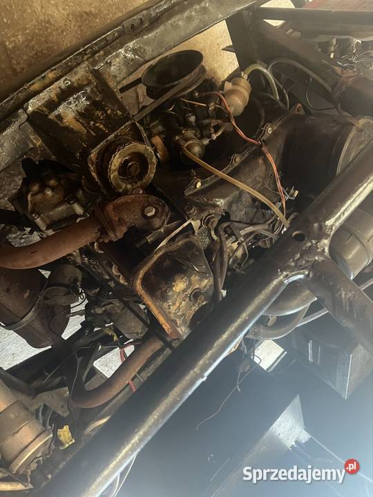 Buggy 126p Bachórz