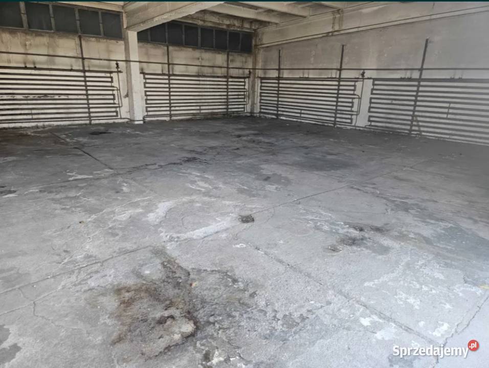 Hala Produkcja Magazyn Wynajem Wynajem pomorskie Czersk