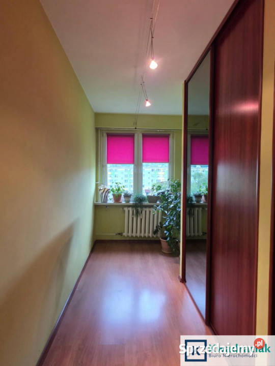 Mieszkanie 58 metrów 3 pokoje Sanok podkarpackie sprzedam