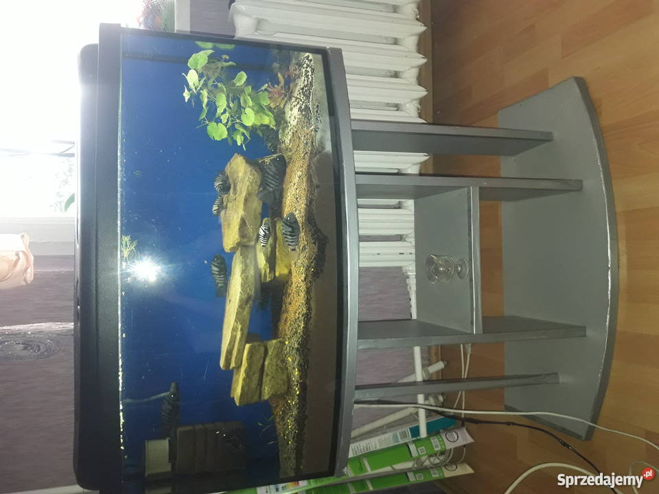 Sprzedam akwarium panoramiczne 112l Rybnik sprzedam