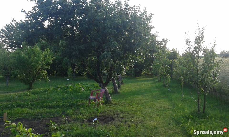 Zagospodarowane siedlisko sprzedam