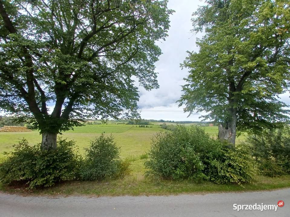 Działka drodze asfaltowej Matule