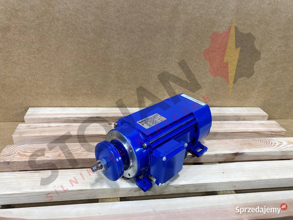 silnik elektryczny jamnik 22kW 2750obr 3fazowy Pigża