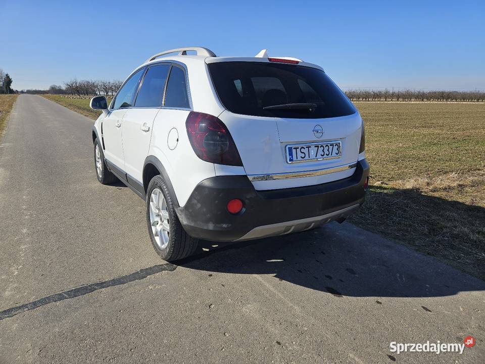 Opel Antara mazowieckie Pawłowice