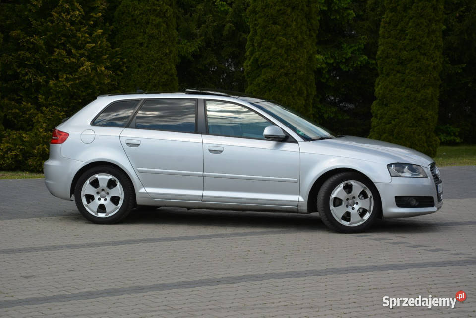 Audi A3 Lift DSG Panorama Skóry Duża Navi DRL immobilizer mazowieckie Ostrów Mazowiecka