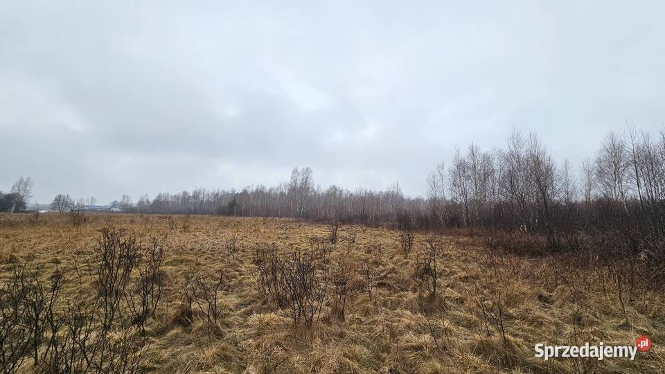 Działka Rolna Szczerców Podklucze 2769m2