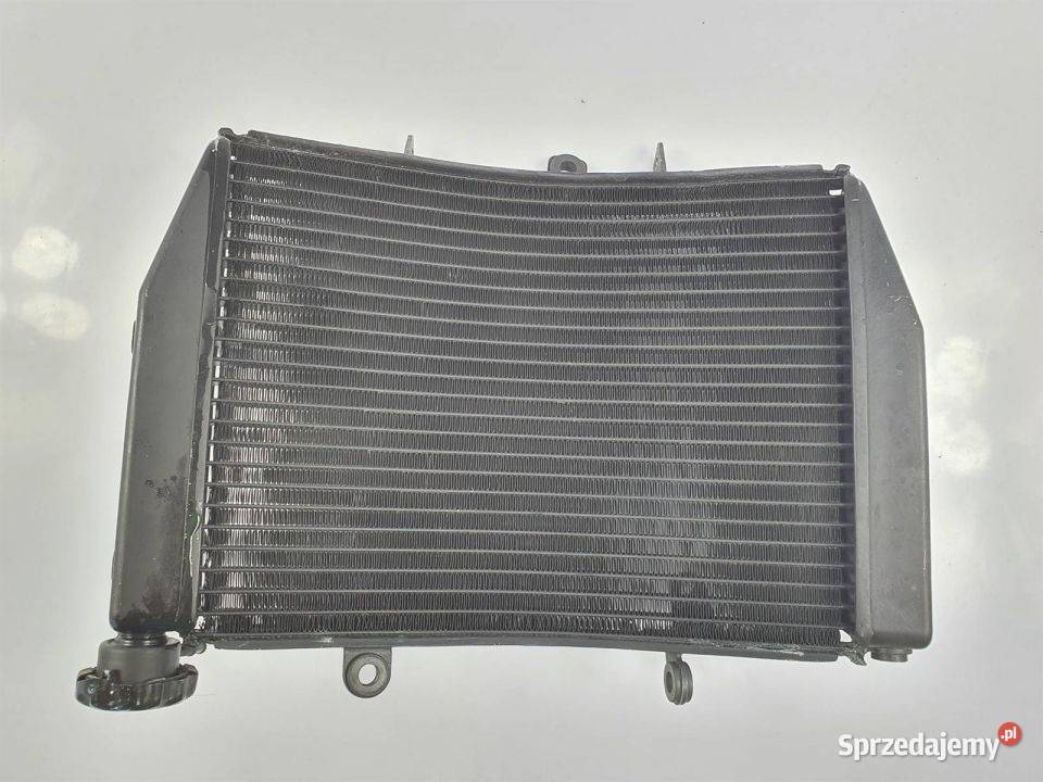 CHŁODNICA WODY TRIUMPH SPEED TRIPLE 1050 RS 2019 osobowe kujawsko-pomorskie Lipno