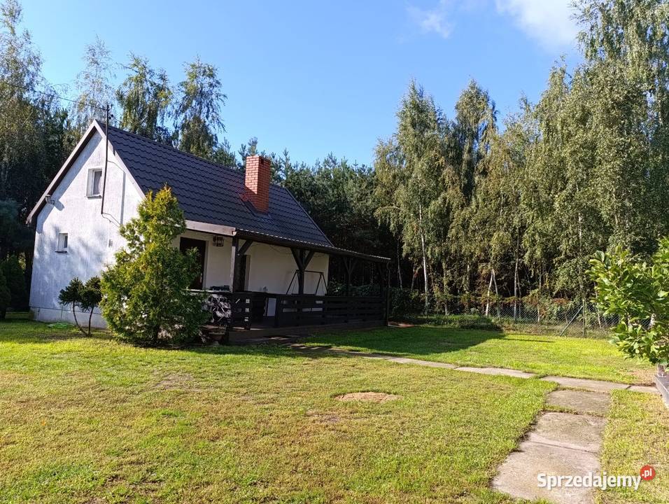 Dom lesie Działka 1800 m2 miasta 15 Arkuszewo