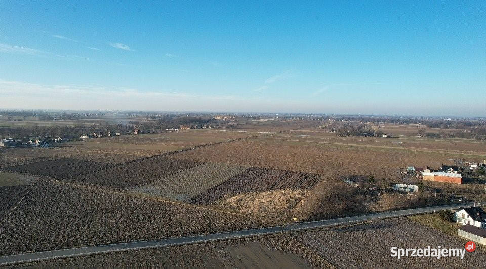 Ogłoszenie działka 5390m2 Raczków łódzkie