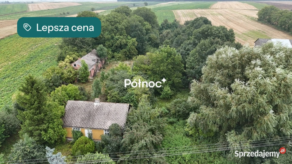 Drewniany dom z dużą działką i sademTelatyn Sprzedaż Telatyn sprzedam