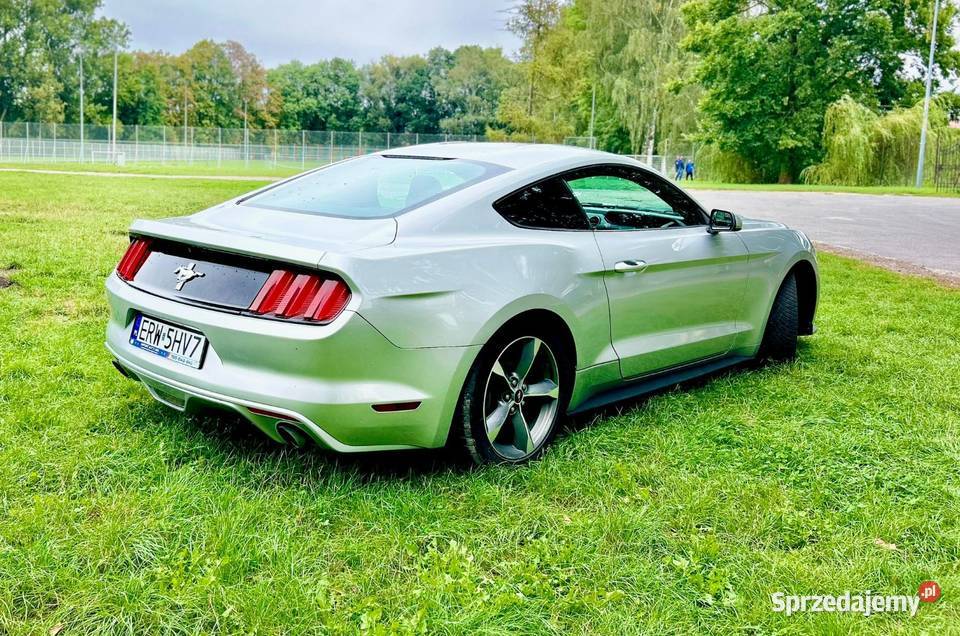 Mustang 37 2016 170000km