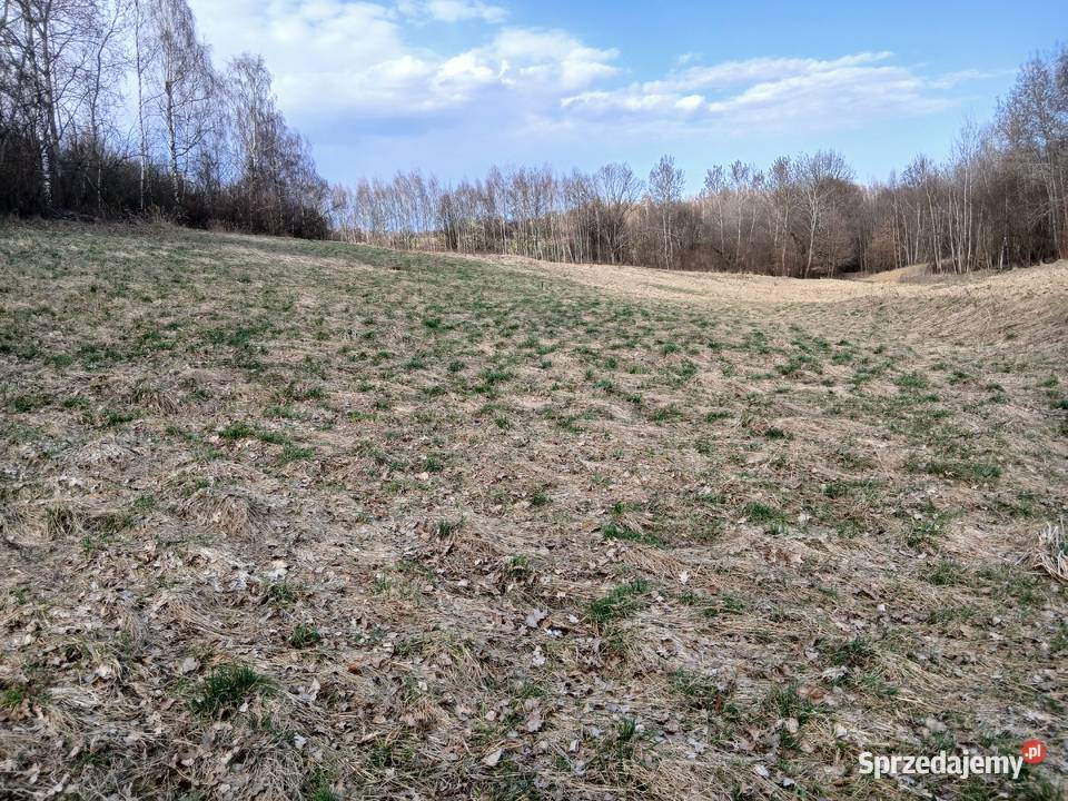 Działka rolna Czułów 70ary