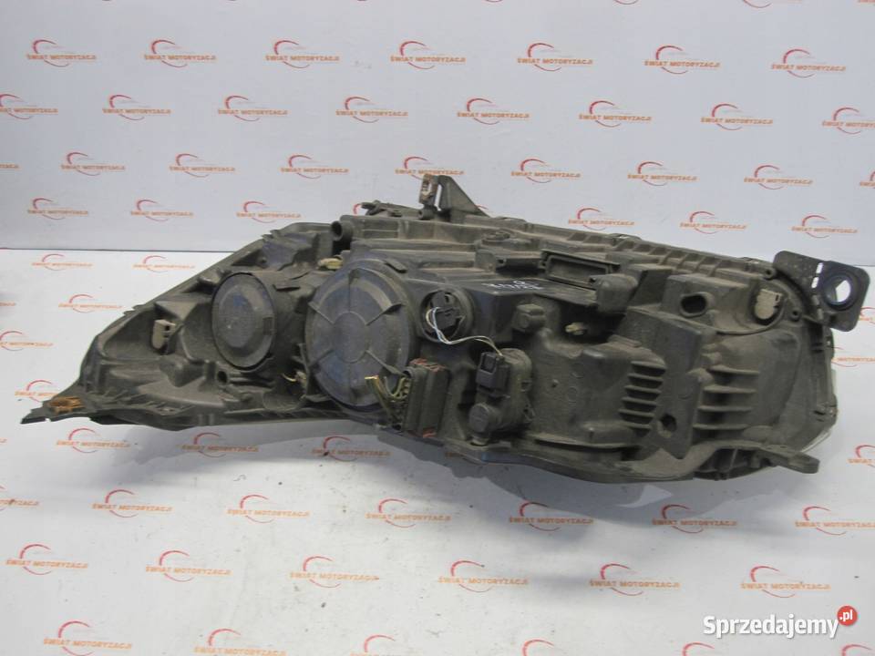 CITROEN C5 II X7 09r lampa prawa przód świętokrzyskie