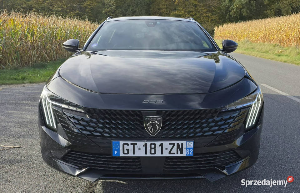 Peugeot 508 16 Hybrid 224 98tyskm II 2018 gniazdo USB wielkopolskie Pleszew