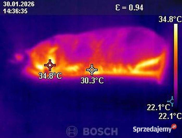 zaginionych zwierząt kamerą termowizyjną Wrocław
