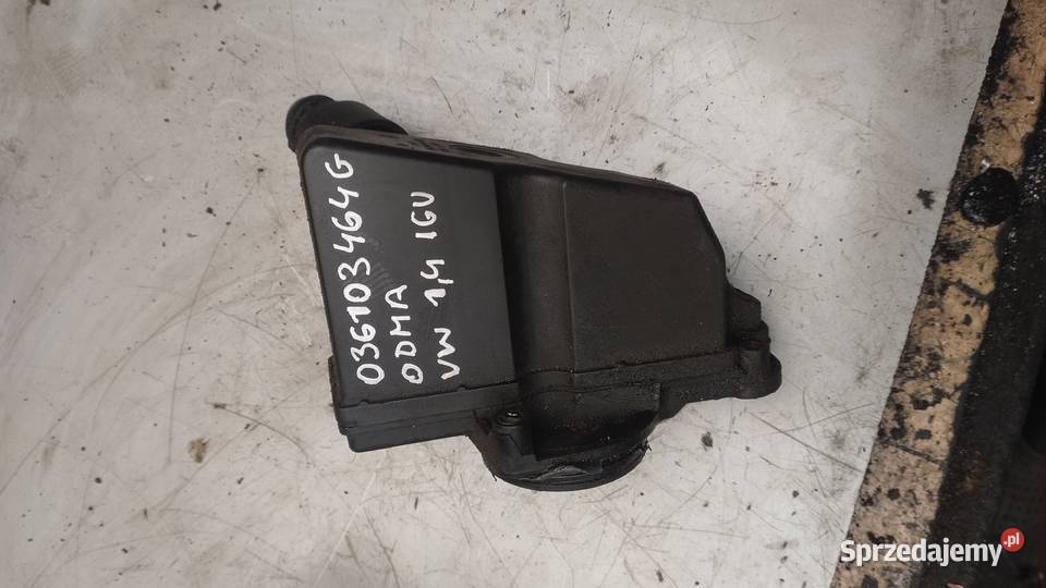 VW SEAT SKODA 10 14 8V odma silnika 036103464G Kielce