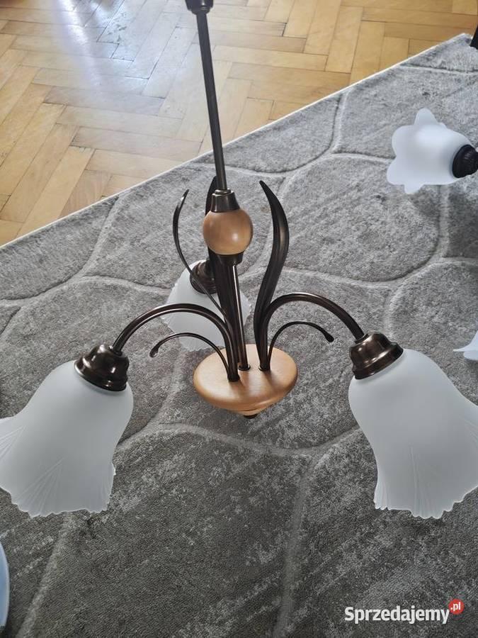 Lampy wiszące Lampy wiszące podkarpackie Dębica