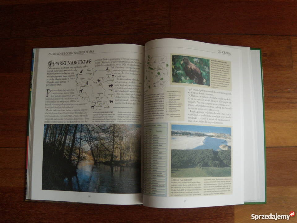 Encyklopedia Polska Historia Geografia Kultura i Kultura i Rozrywka