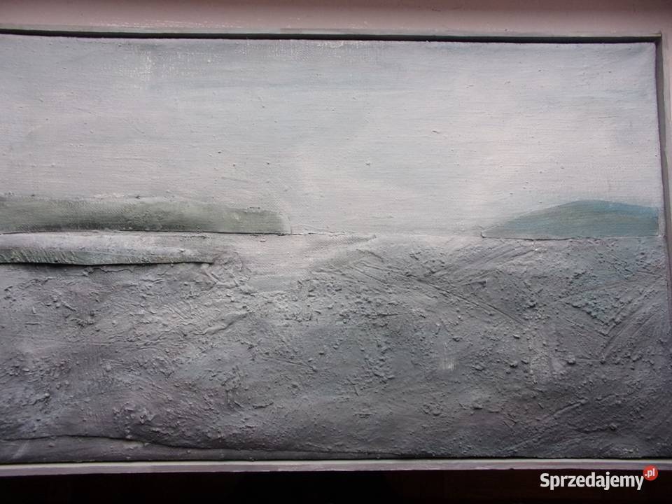 Wyjatkowy obraz olejny na płótnie Księżycowy mazowieckie Warszawa