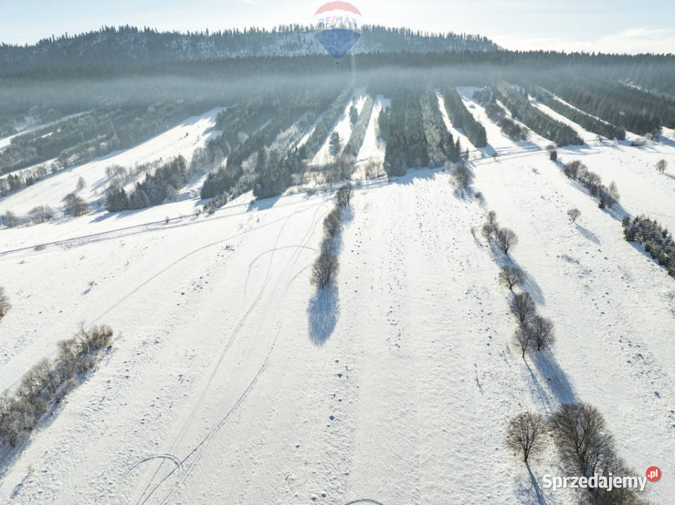 Pakiet działek w Frydmanie Frydman