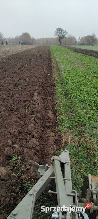 Pług 2 skibowy Pługi Unia Grudziądz Odrzywół sprzedam