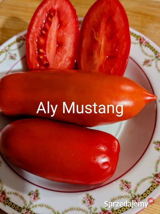 SanMarzano Aurija Pomidor kolekcja 2024 Kraków