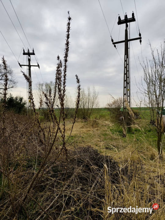 Domek z dużą działką Sadogóra Okazja Sprzedaż