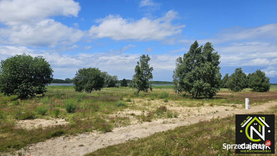 Działka 9800m2 Laska