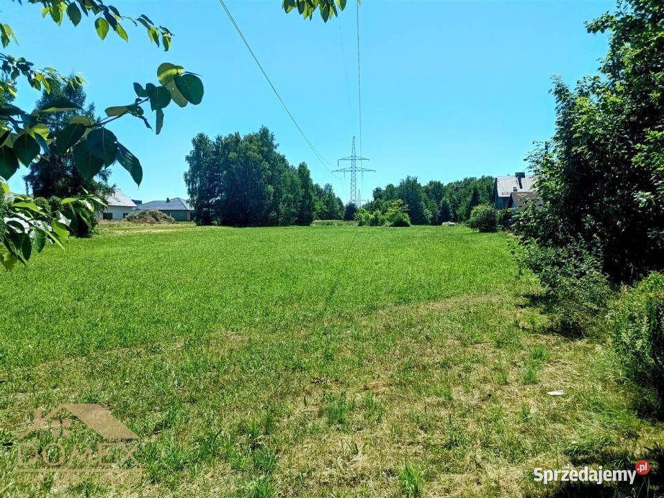 Grunt Radlin 3792m2 3792m2 Sprzedaż