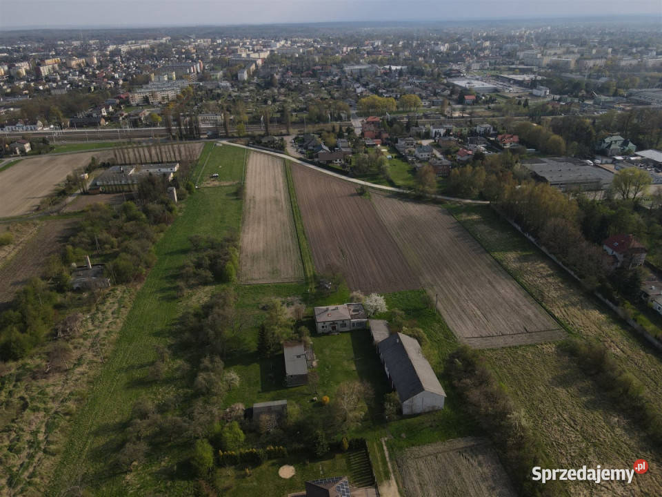 Działka 8300m2 Opiesin 8300m2 Sprzedaż sprzedam