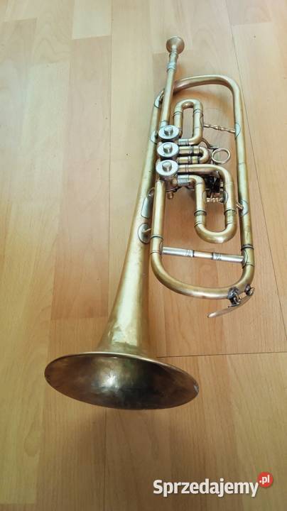 Trąbka skrzydlowa blaszane Kraków