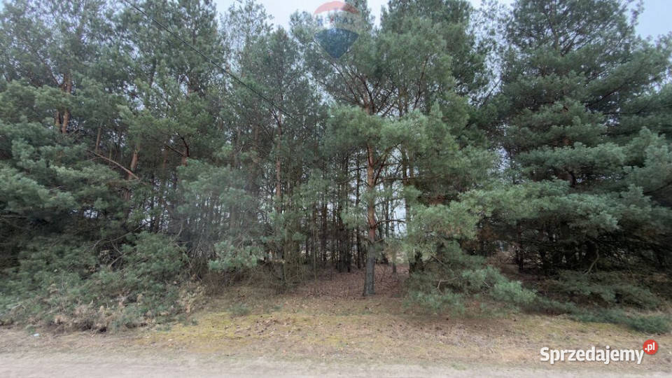 Michałów urokliwa działka budowlana 5500 m2