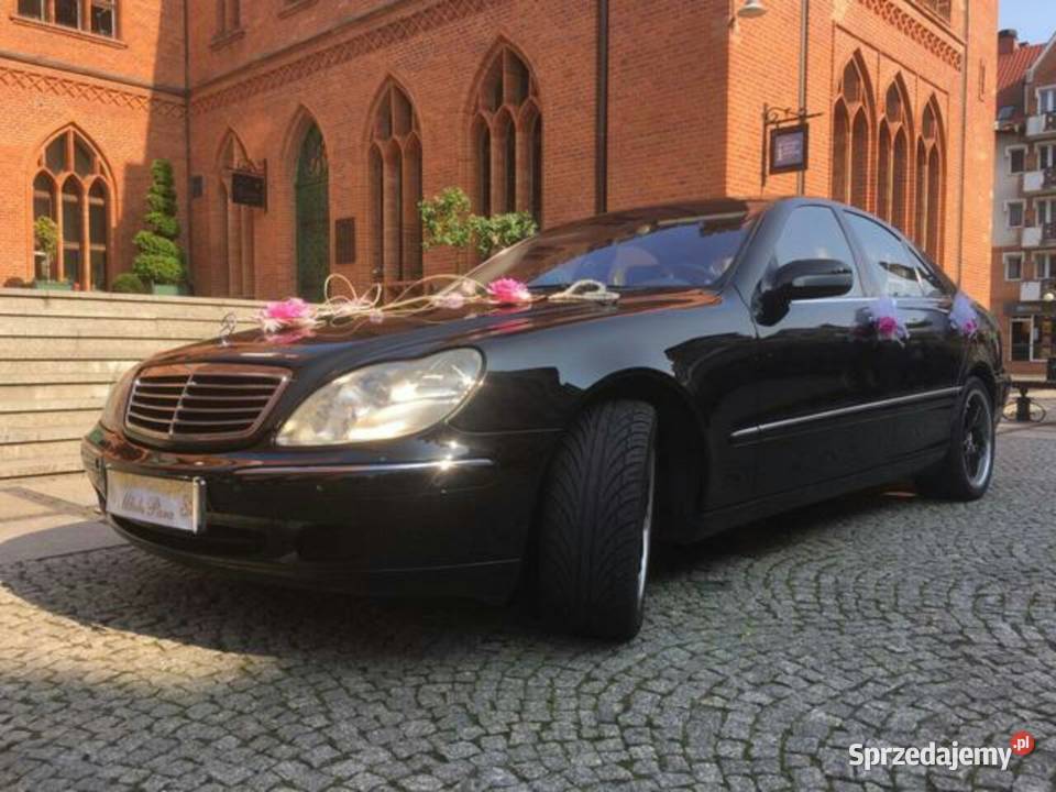 Śluby wesela uroczystości Transport krajowy i Kołobrzeg obsługa imprez