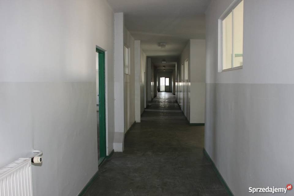 Powierzchnia Biurowa i Magazynowa Budynki na Lipno