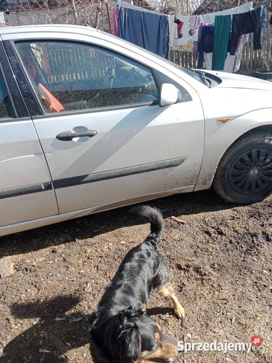 Ford Focus MK1 świętokrzyskie Drugnia Rządowa