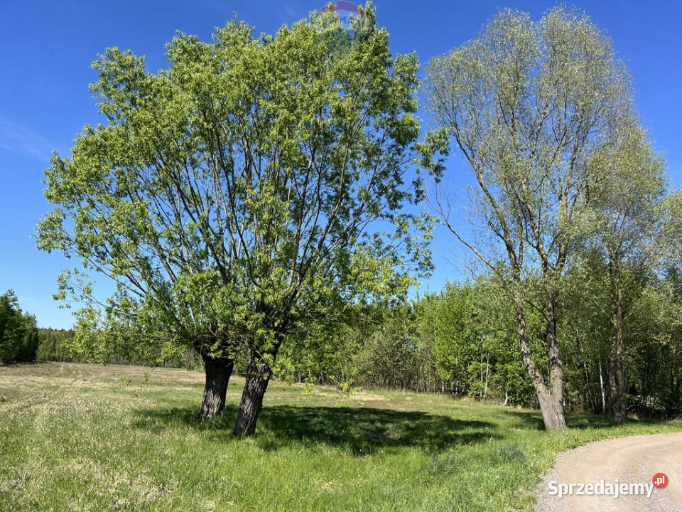 Działka siedliskowa w Pustelniku 25m Sprzedaż