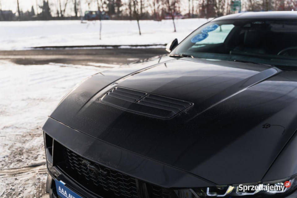 Ford Mustang GT V8 50 Katowice
